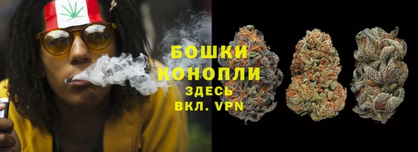 прущие крисы Инсар
