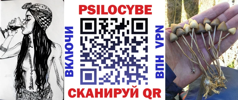 Купить закладки  Дивногорск  Галлюциногенные грибы Cubensis 